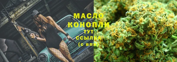индика Красноперекопск