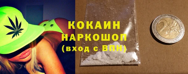 индика Красноперекопск