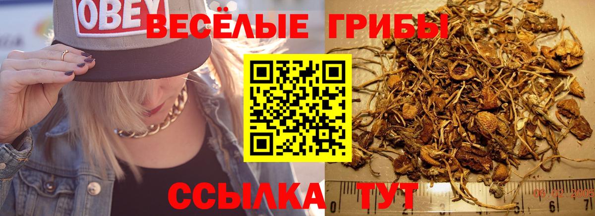 Псилоцибиновые грибы прущие грибы Белгород