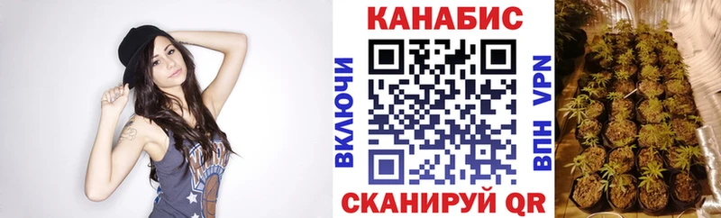 дарнет шоп  Белгород  Шишки марихуана Ganja 